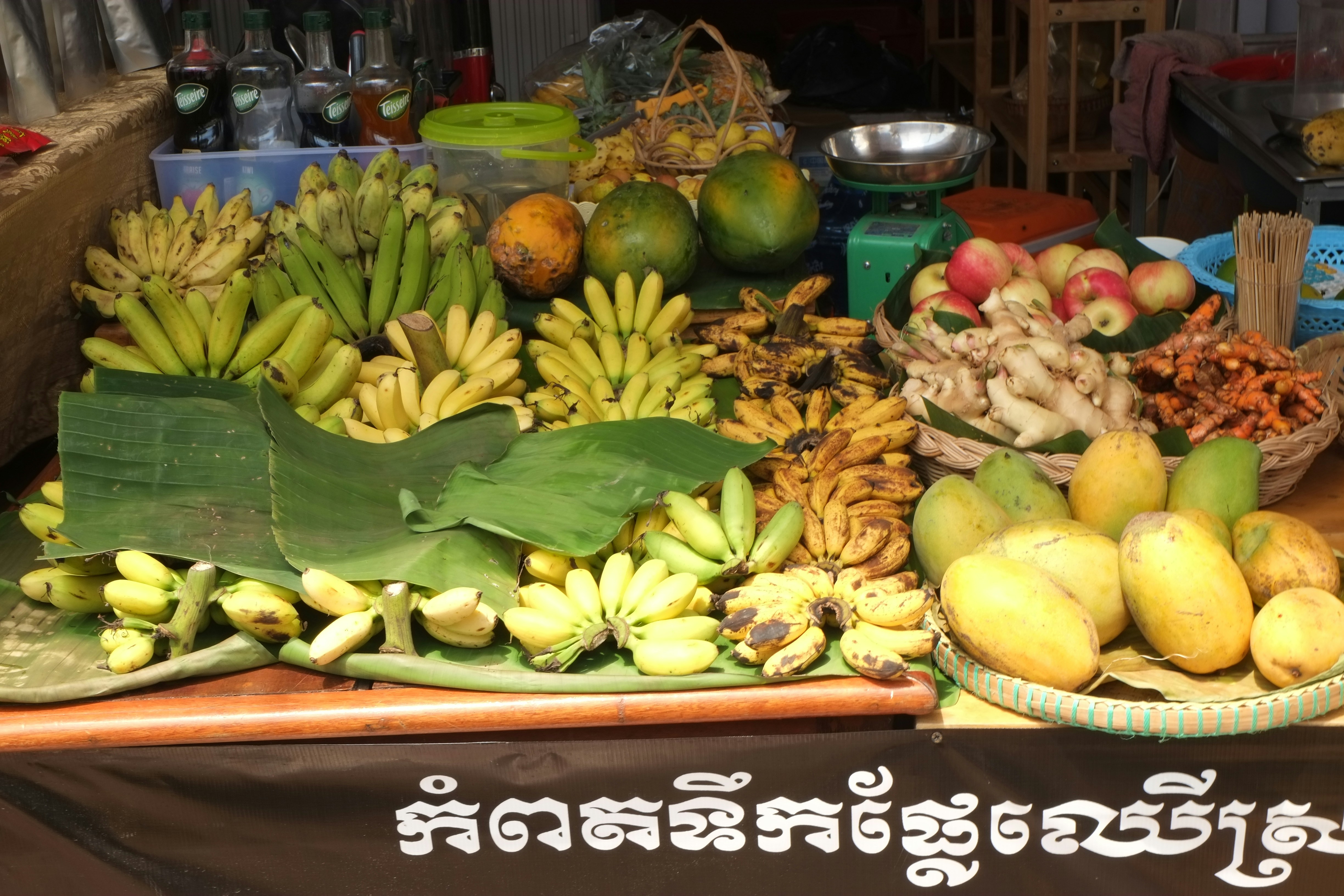 Tropical surprises in Cambodia.